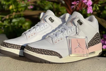 Jordan 3 Neapolitan Dark Mocha
