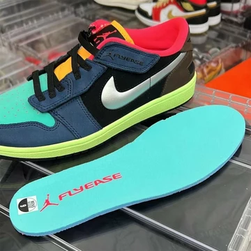 Jordan 1 Low FlyEase Bio Hack
