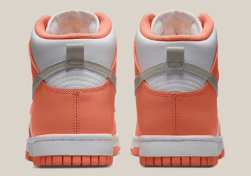 Dunk High Salmon DD1869-600