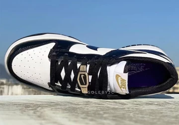 Nike Dunk Low Panda World Champ