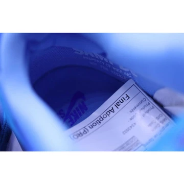 Nike SB Dunk Blue Raspberry