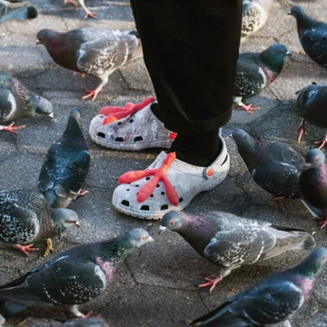 Staple Crocs Sidewalk Luxe Classic Clog