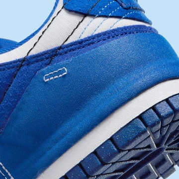 Nike Dunk Low Disrupt 2 Kentucky