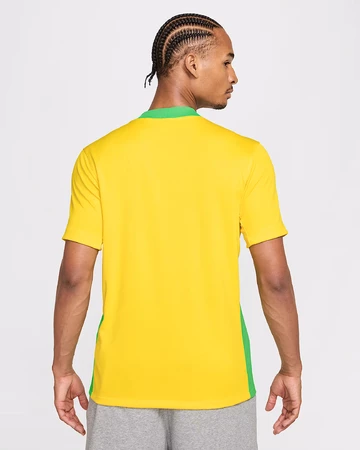 Nike National Team Replica Jersey 2025