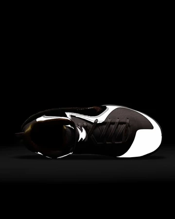 Nike LeBron 9 King of LA