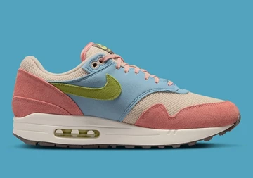 Air Max 1 Light Madder Root