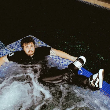 Imran Potato Vans Knu Skool