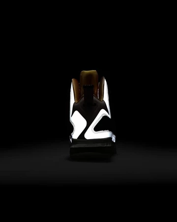 Nike LeBron 9 King of LA