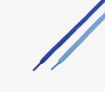 SB Dunk Low Blue Raspberry