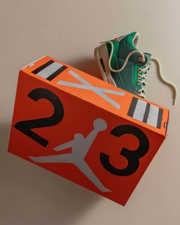 Nina Chanel Jordan 3 Bicoastal