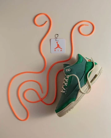 Nina Chanel Jordan 3 Bicoastal