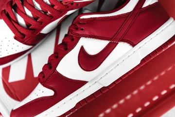 Nike Dunk University Red Close Up