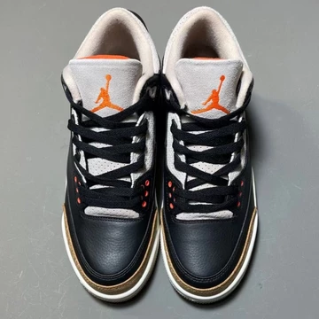 Air Jordan 3 Desert Elephant