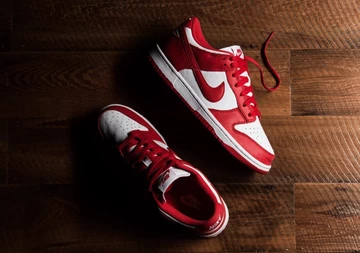 Nike Dunk University Red auf dem braunen Boden