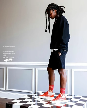 Joe Freshgoods Vans - first news