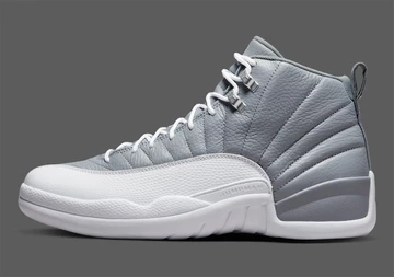 Jordan 12 Stealth