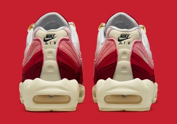 Air Max 95 Anatomy of Air