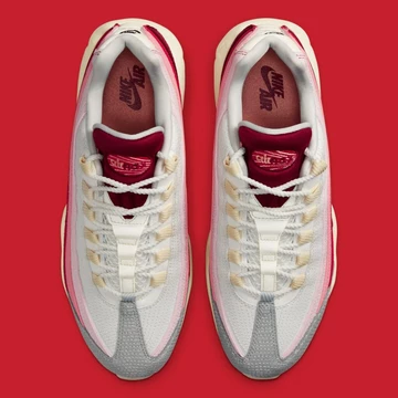 Air Max 95 Anatomy of Air