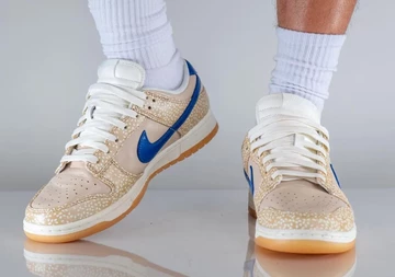 Nike Dunk Low Sesame Seed Bun