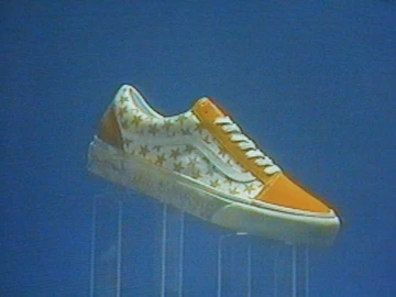 Bianca Chandon Vans Vault