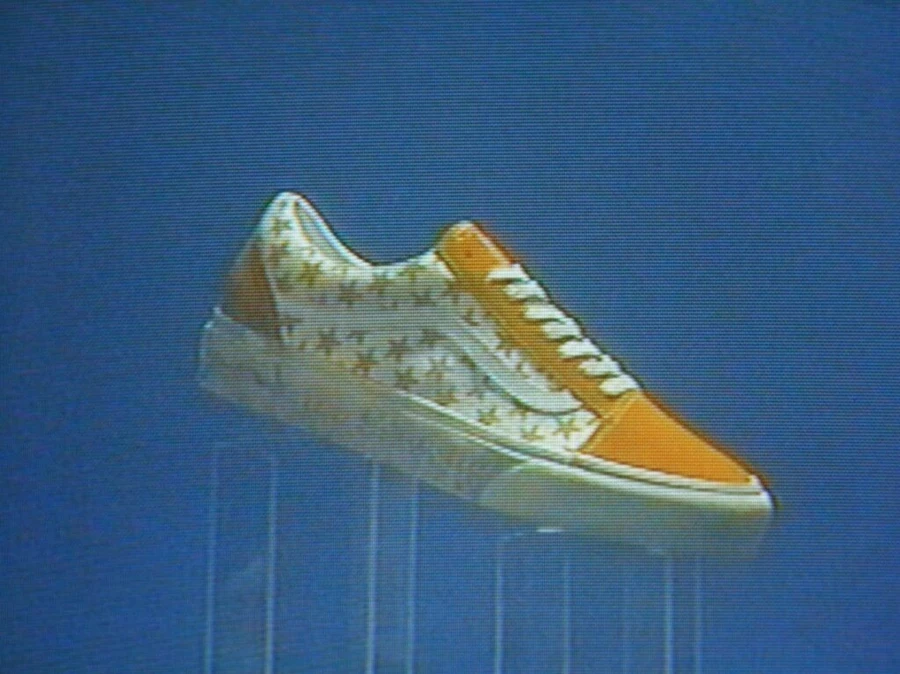 Bianca Chandon × Vault by Vans DA0FEA96-3151-426A-8739-