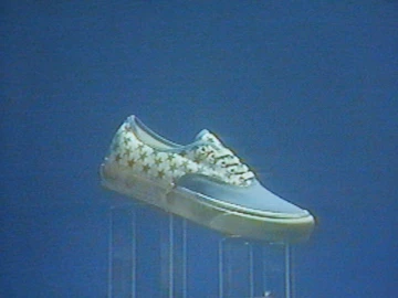 Bianca Chandon Vans Vault