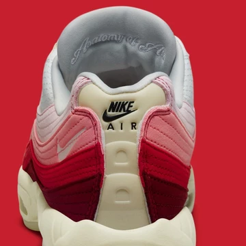 Air Max 95 Anatomy of Air