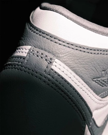 Jordan 1 High Stealth