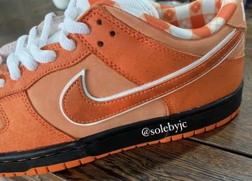 Concepts Nike SB Dunk Low Orange Lobster