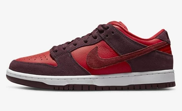 Top 10 Nike SB Dunks