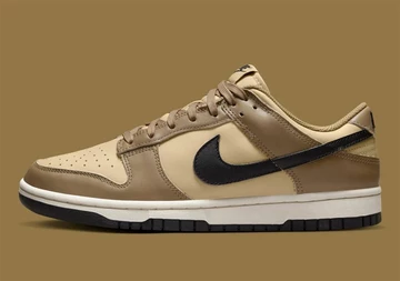 Dunk Low Dark Driftwood