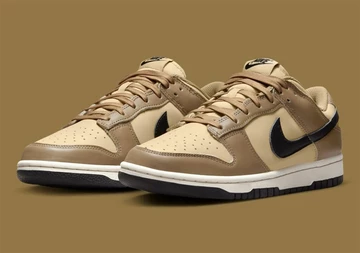 Dunk Low Dark Driftwood