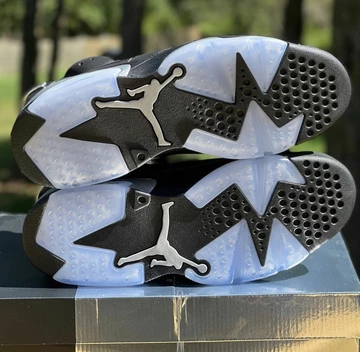 Nike Air Jordan 6 Black Chrome Metallic Silver