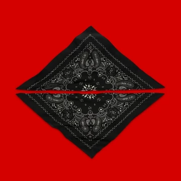 Travis Scott Jordan 1 Low Black Phantom