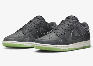 Dunk Low Shadow Swoosh Iron Grey
