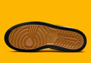 Jordan 1 Acclimate Chutney