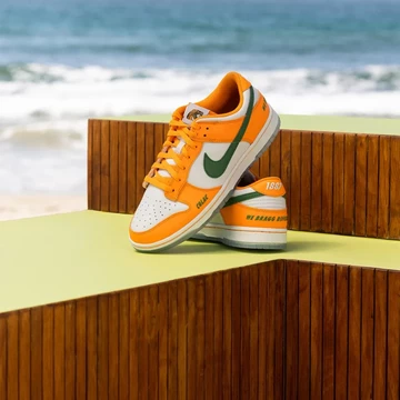 HBCU Nike Dunk Low - Florida A&M