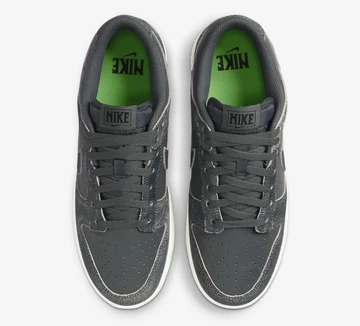 Dunk Low Shadow Swoosh Iron Grey