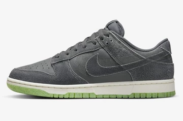 Dunk Low Shadow Swoosh Iron Grey