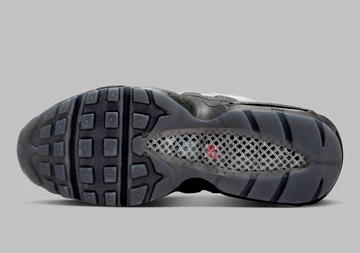 Air Max 95 Fish Scales