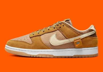 Dunk Low Teddy Bear
