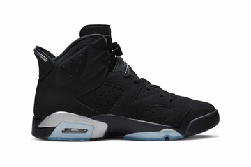 Jordan 6 Metallic Silver