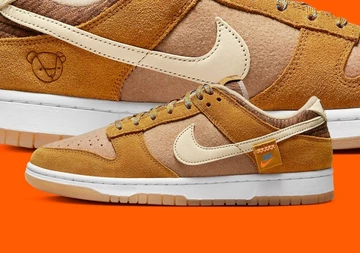 Dunk Low Teddy Bear