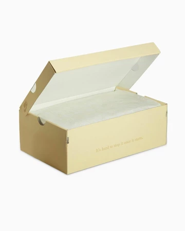 Billie Eilish Air Force 1 Sequoia