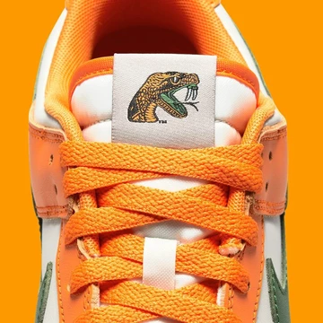 Florida A&M Dunk Low