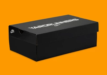 Florida A&M Dunk Low