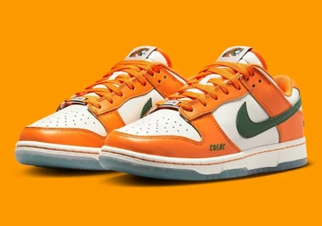 Florida A&M Dunk Low