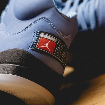 Jordan 5 UNC
