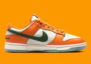 Florida A&M Dunk Low
