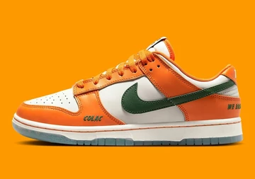 Florida A&M Dunk Low